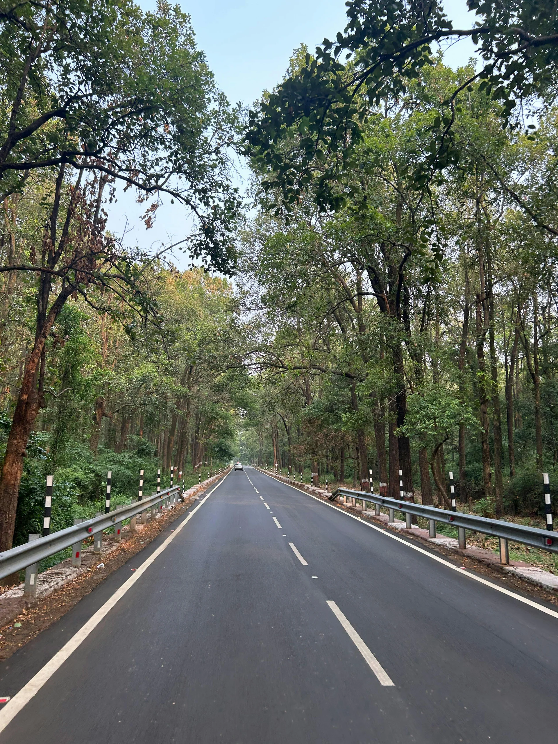 Aswad Global Two Laning of Road from Indore to Depalpur to Birgodhia to Ingoria Madhya Pradesh