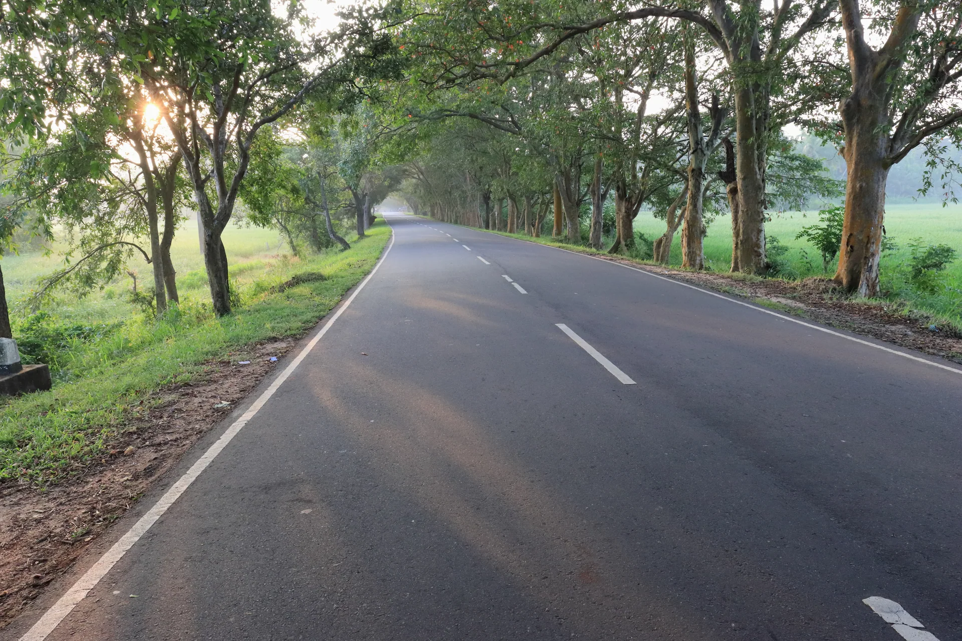 Aswad Global Two Laning of Road SH-69 from Sherghati to Ranitalab Bihar